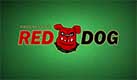 Play Red Dog NetEnt at Mongoose Casino Play Red Dog NetEnt