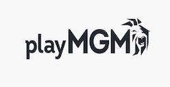 MGM online casino